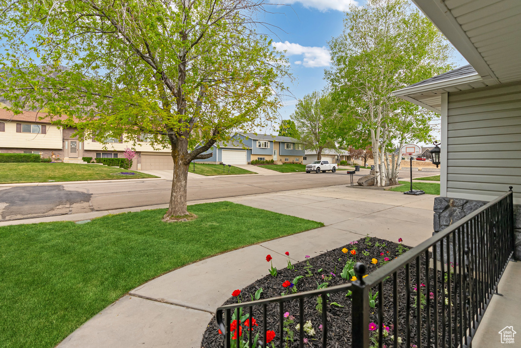 View of yard featuring a residential view
