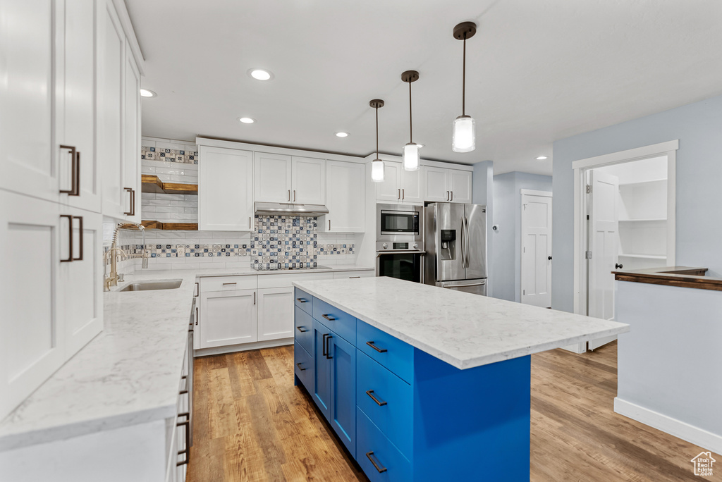 Kitchen featuring blue cabinets, stainless steel appliances, open shelves, under cabinet range hood, and a sink