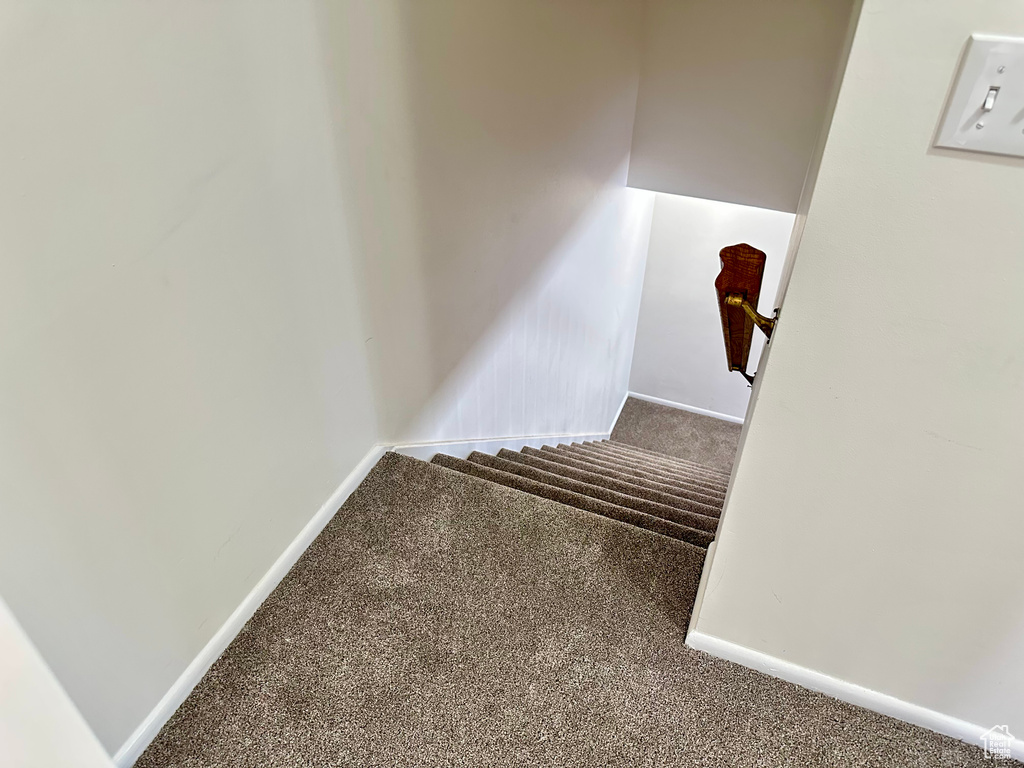 Stairs featuring carpet flooring and baseboards