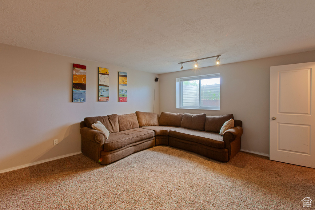 Carpeted living area with baseboards, a textured ceiling, and track lighting