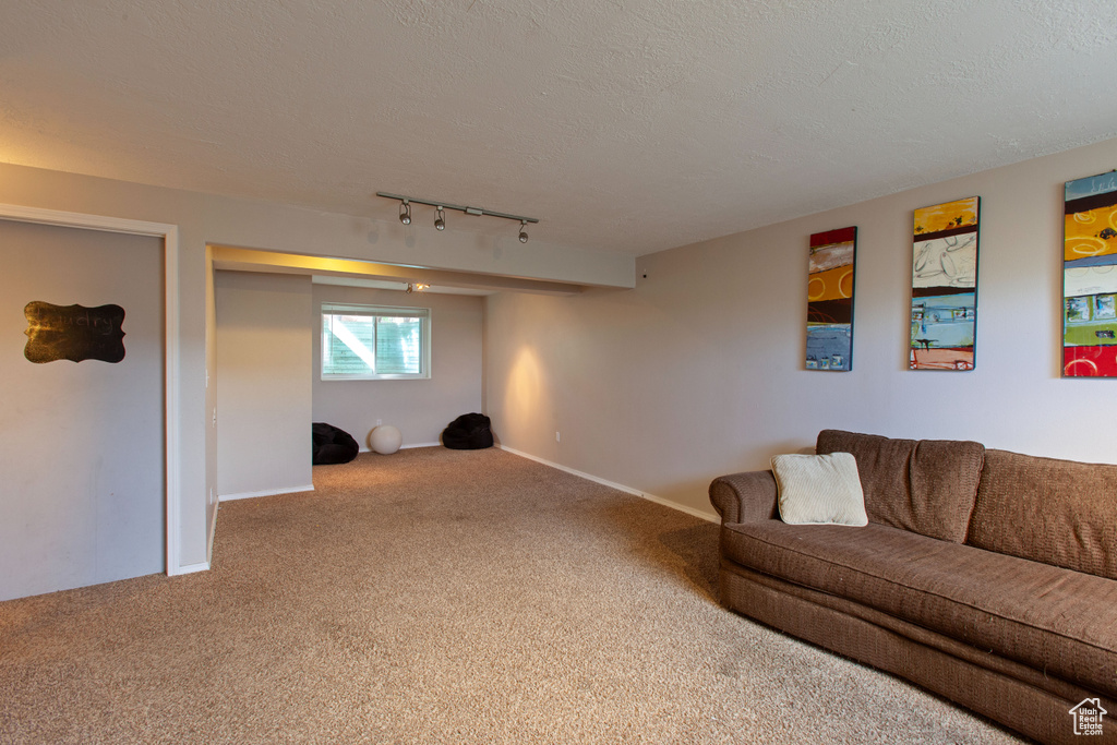 Living area with carpet, track lighting, baseboards, and a textured ceiling