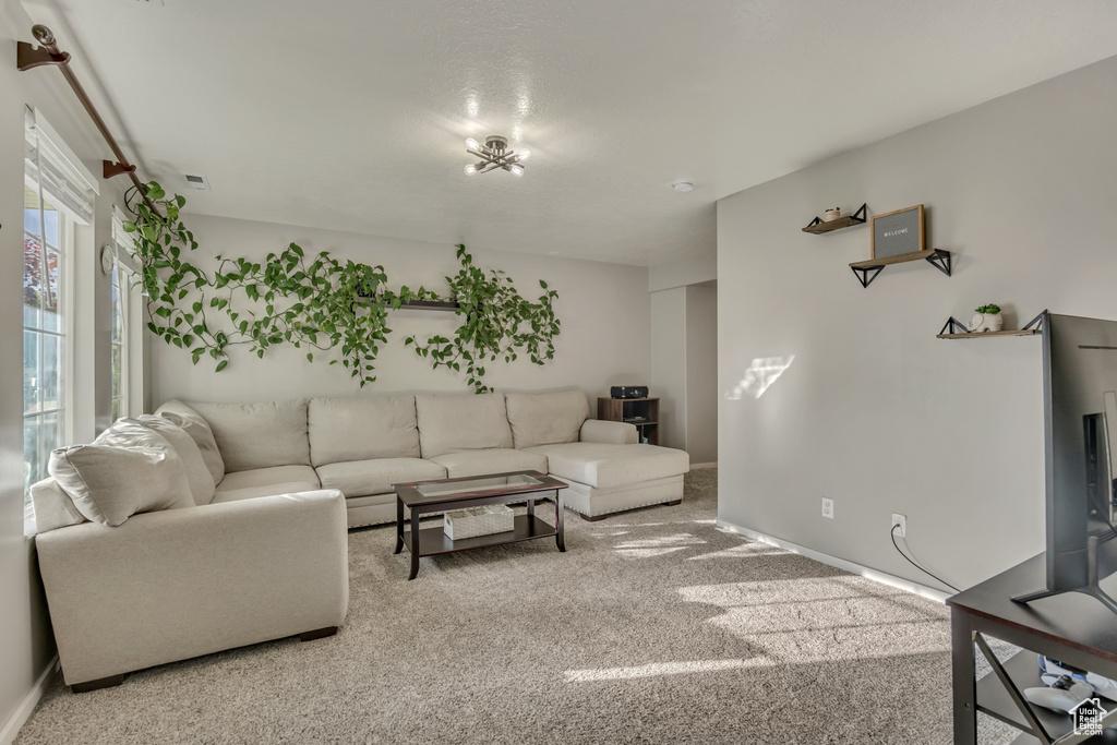 Living area featuring carpet flooring and baseboards
