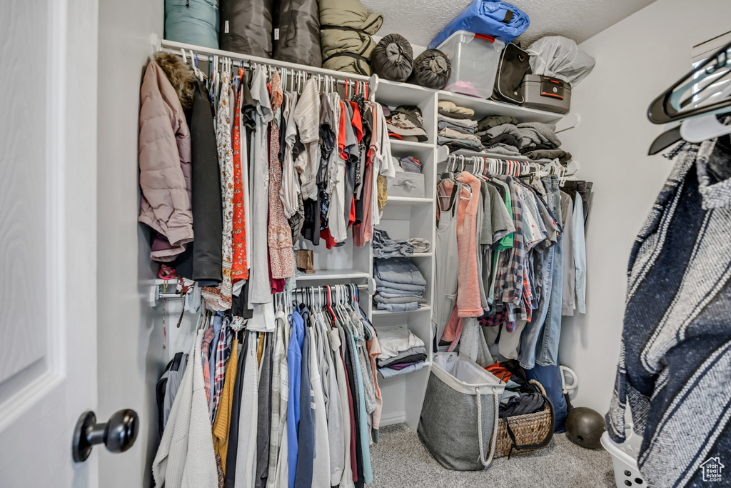 Walk in closet with carpet