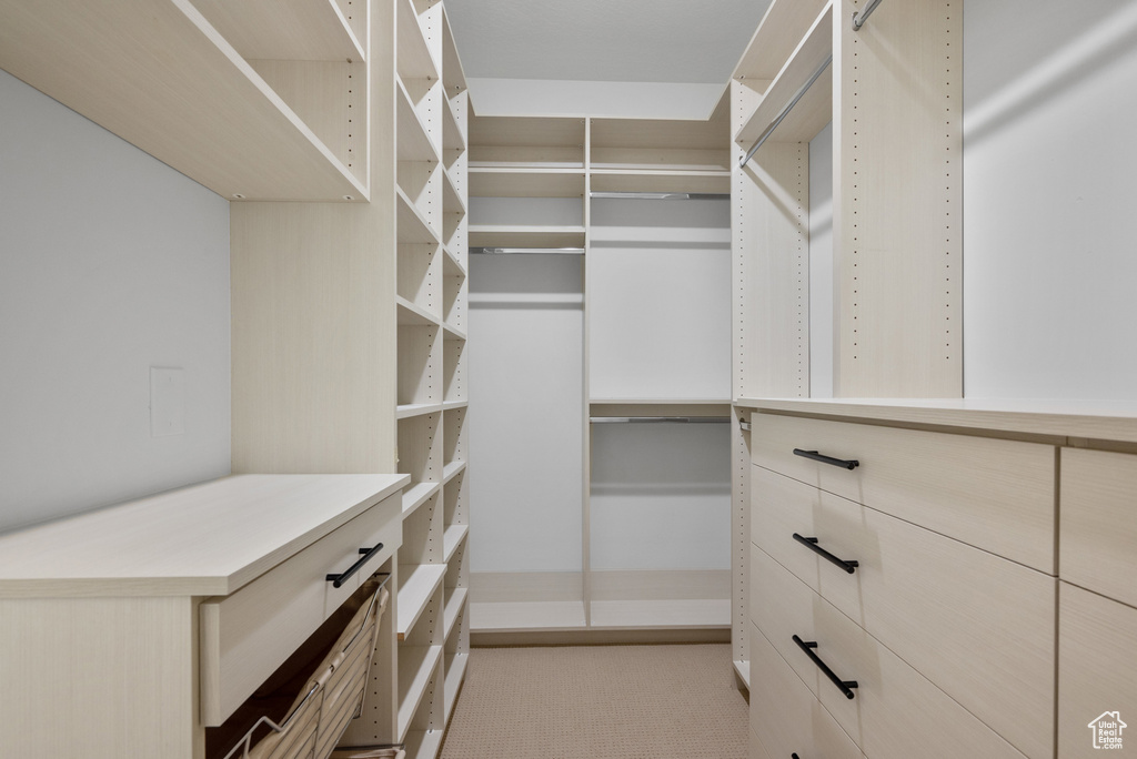 View of walk in closet