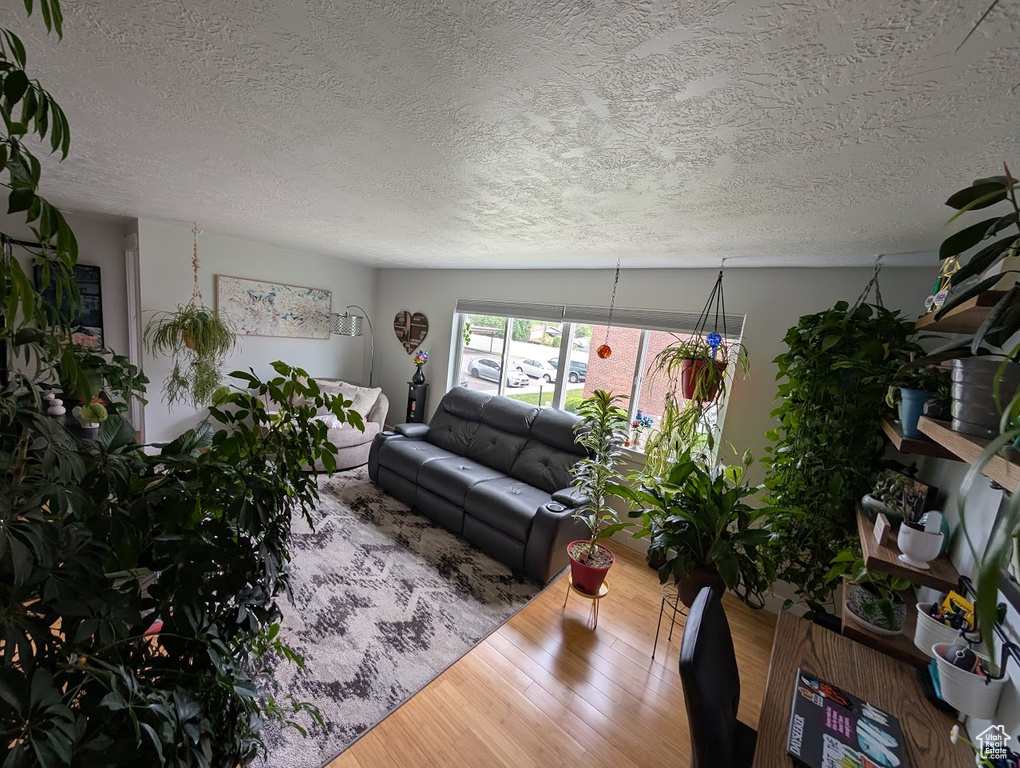 Living room with a textured ceiling and wood finished floors