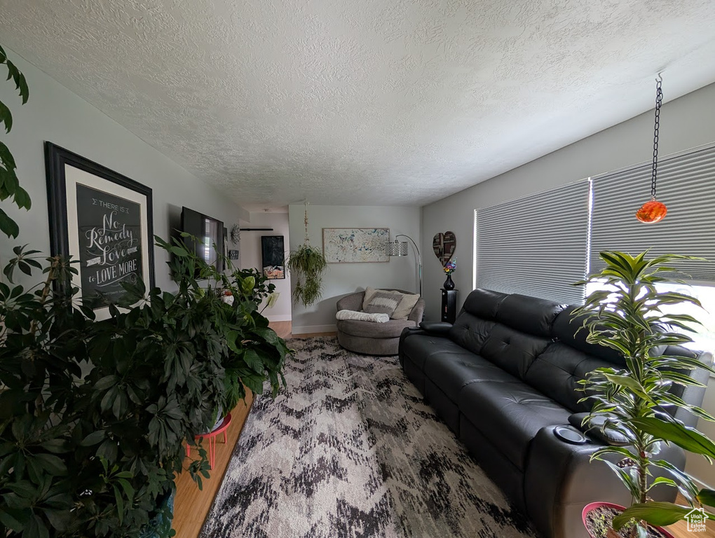 Living area featuring a textured ceiling and baseboards