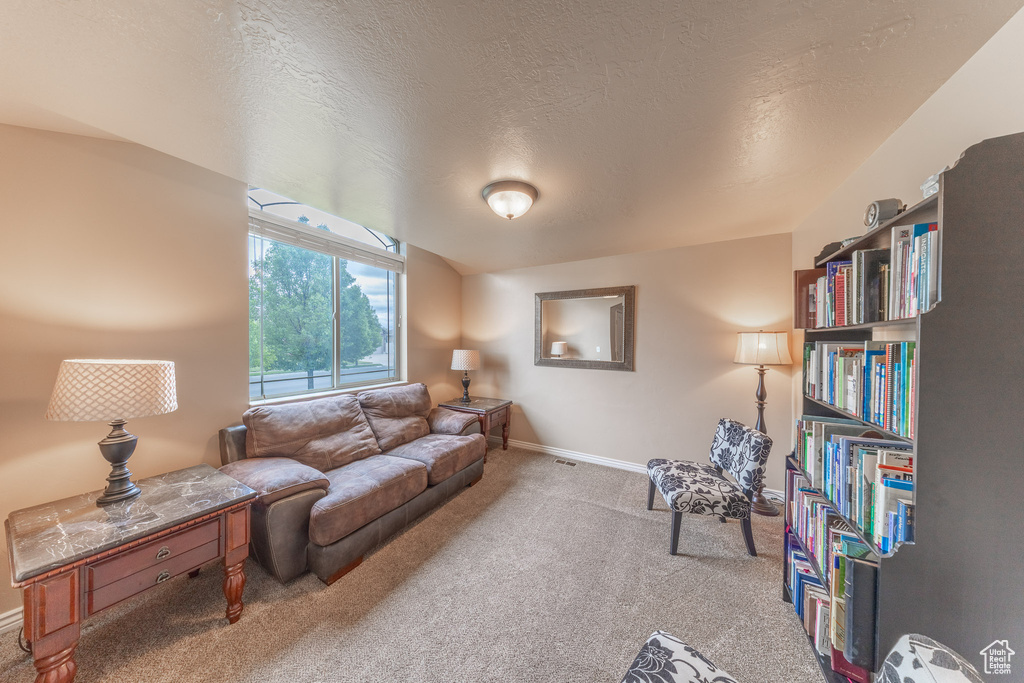 Living room with carpet, baseboards, and a textured ceiling