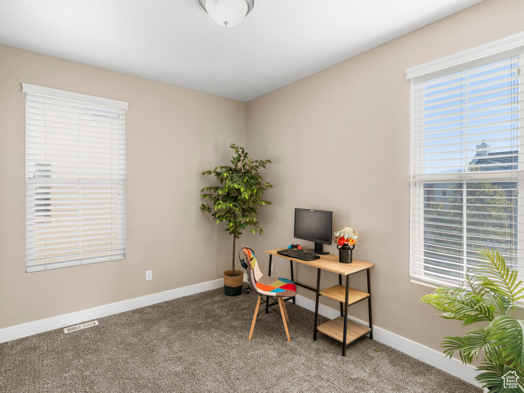 Office area with light colored carpet and baseboards