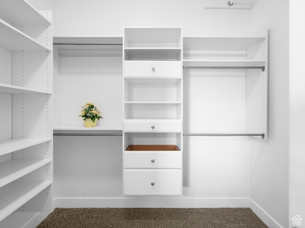 Spacious closet with carpet floors