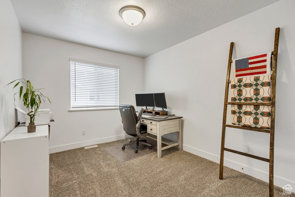 Office featuring carpet, baseboards, and a textured ceiling
