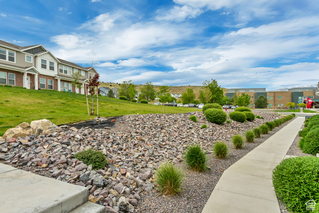 View of green lawn with a residential view