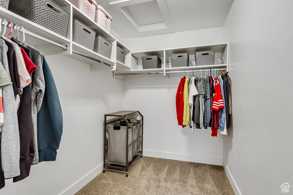 Walk in closet with attic access and carpet flooring