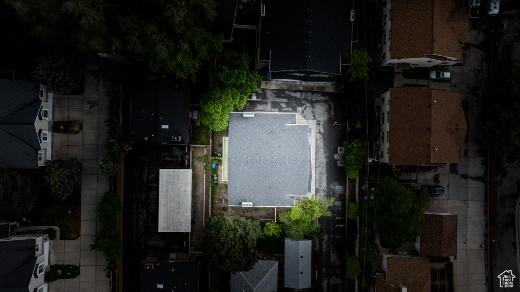 Bird\'s eye view