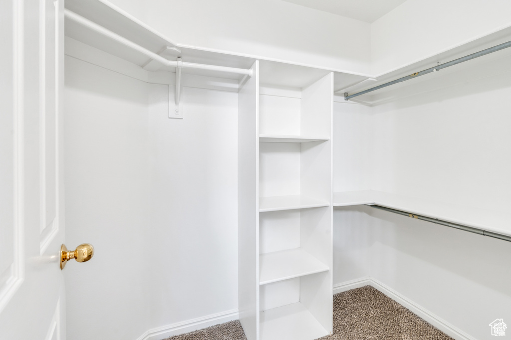 Spacious closet featuring dark colored carpet