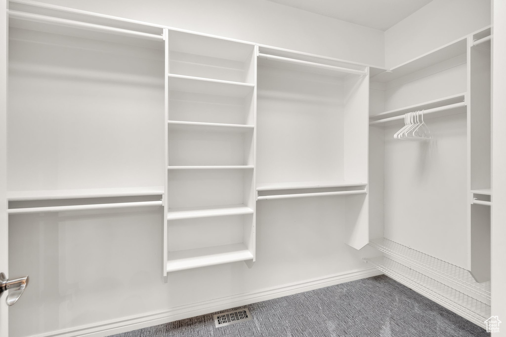 Spacious closet featuring carpet floors
