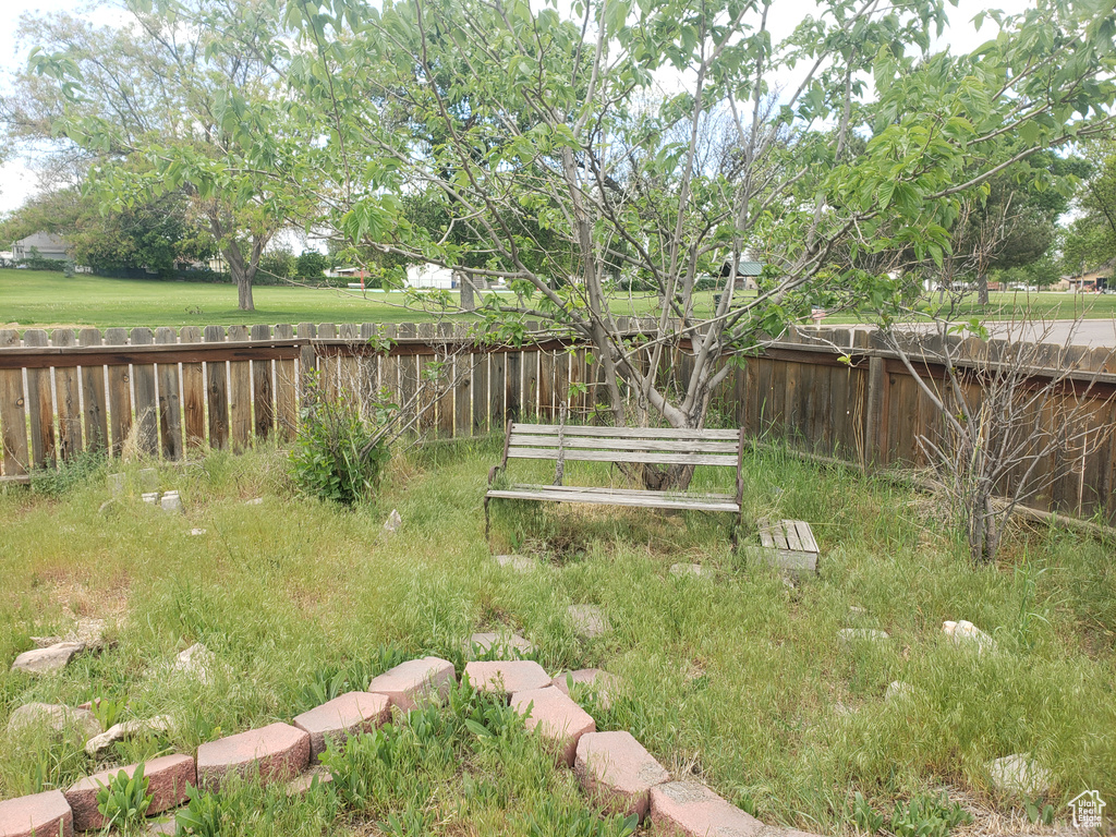 View of fenced backyard