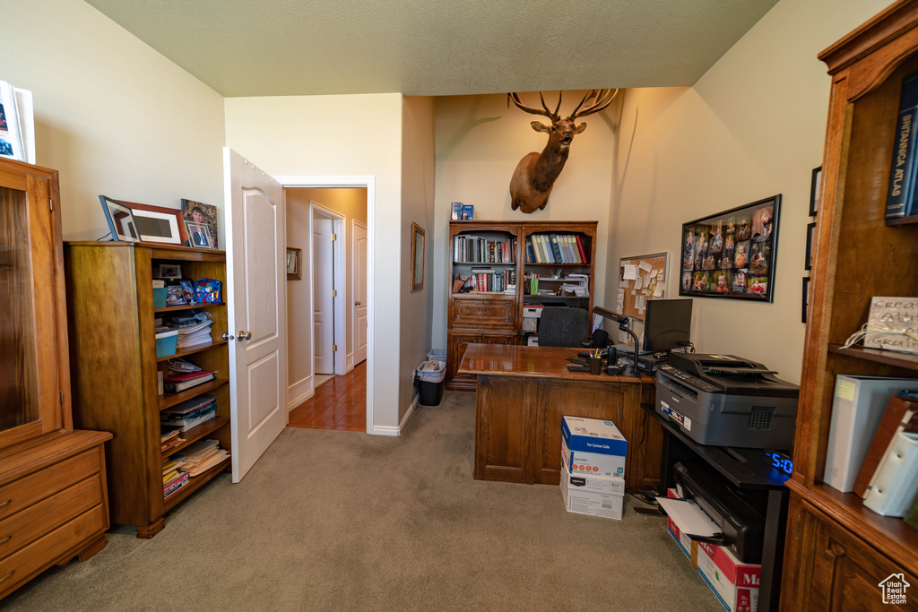 Office with carpet floors