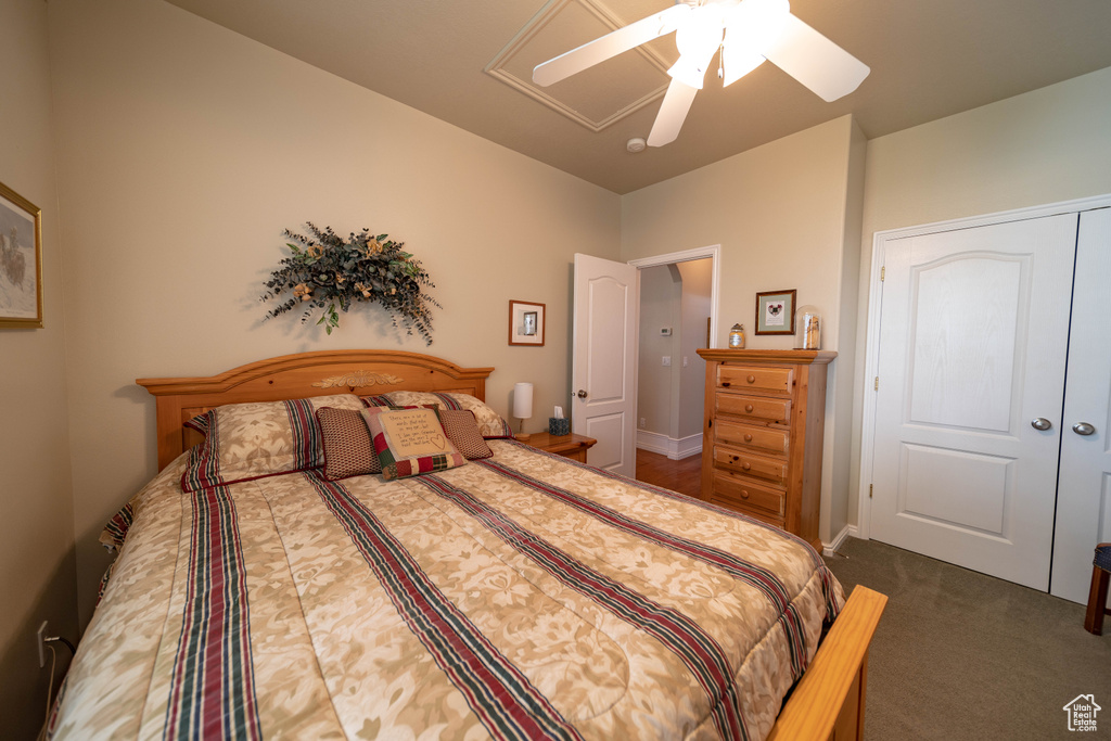 Bedroom with a ceiling fan, carpet flooring, and a closet