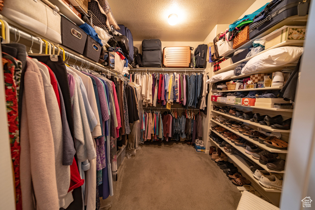 Walk in closet featuring carpet floors