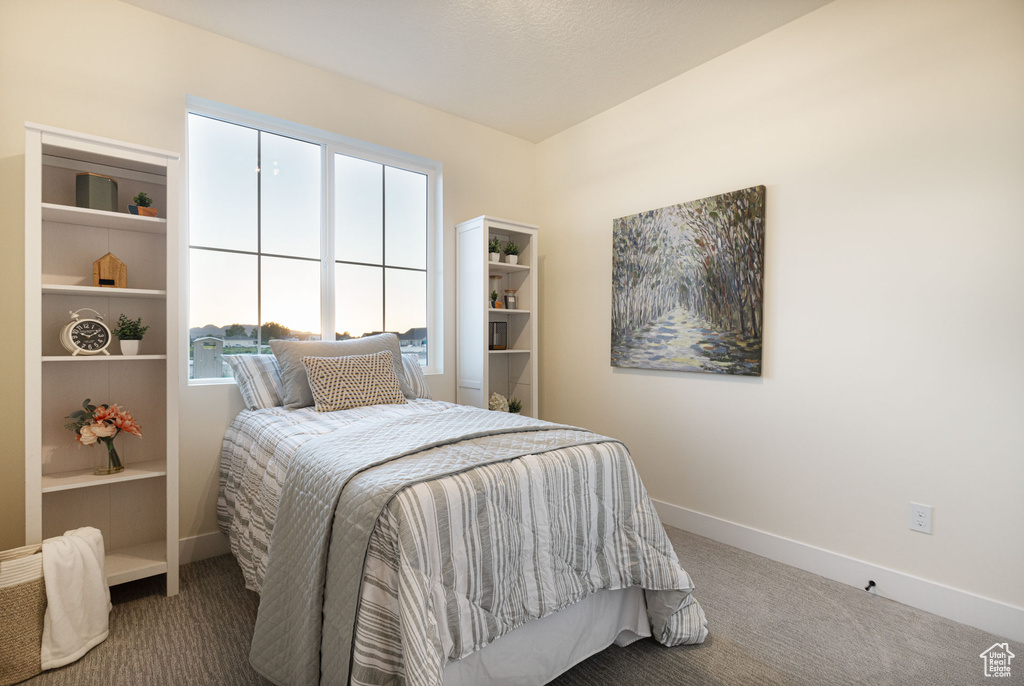 Bedroom featuring carpet floors, multiple windows, and baseboards