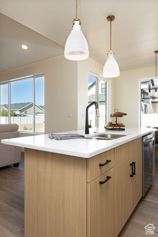 Kitchen with a sink, light brown cabinetry, stainless steel dishwasher, open floor plan, and plenty of natural light