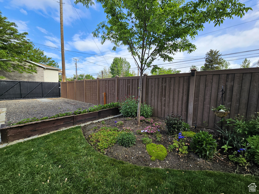View of fenced backyard