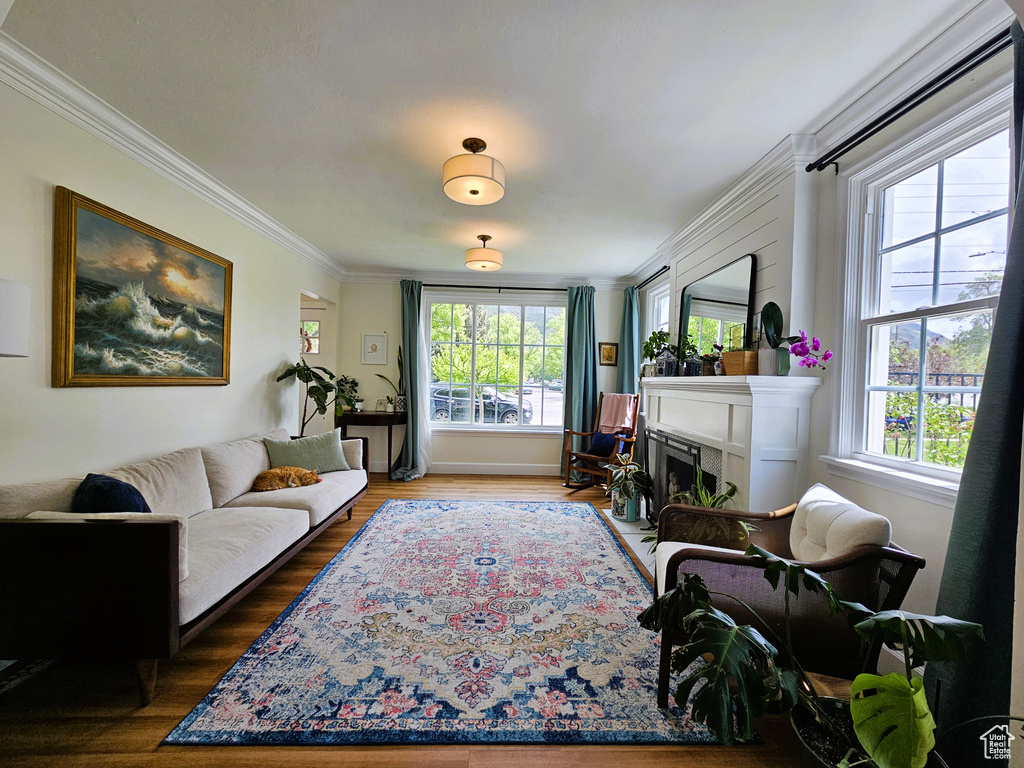 Living room featuring plenty of natural light, ornamental molding, a fireplace, wood finished floors, and baseboards