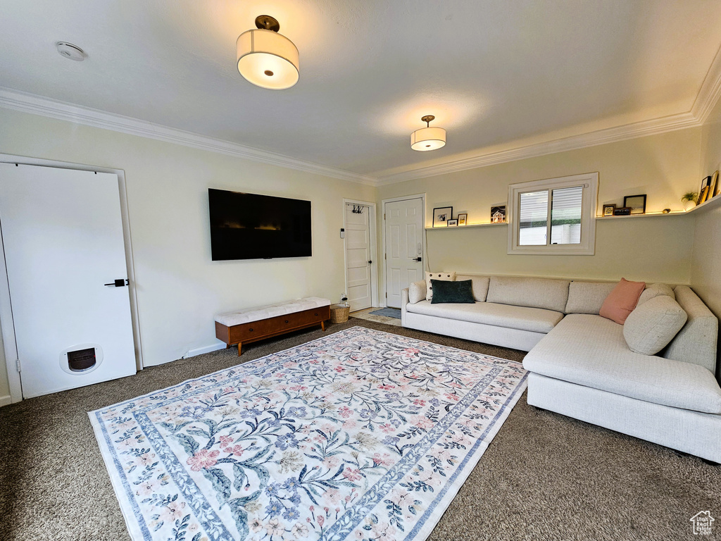 Carpeted living area with crown molding