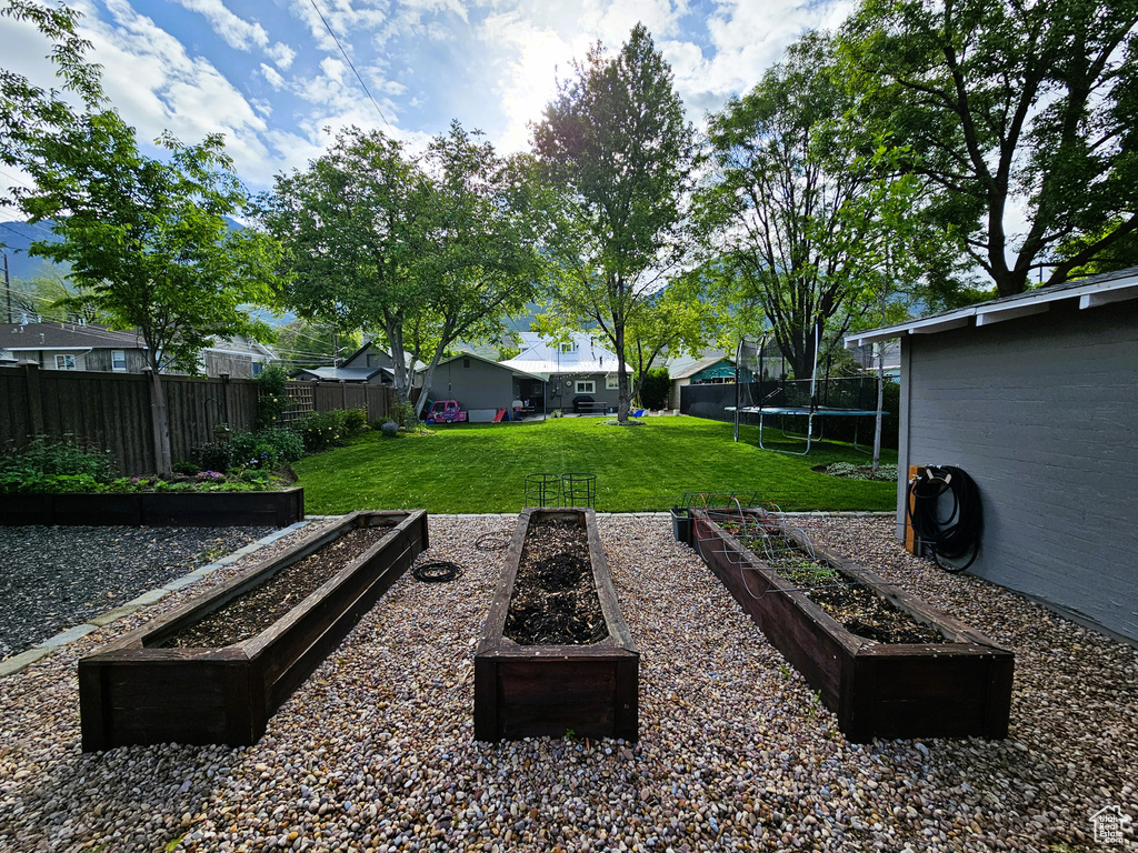 View of yard featuring a garden, a trampoline, and a residential view