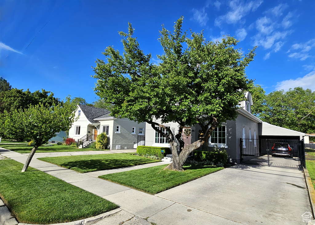 View of property hidden behind natural elements with driveway, stucco siding, and a carport