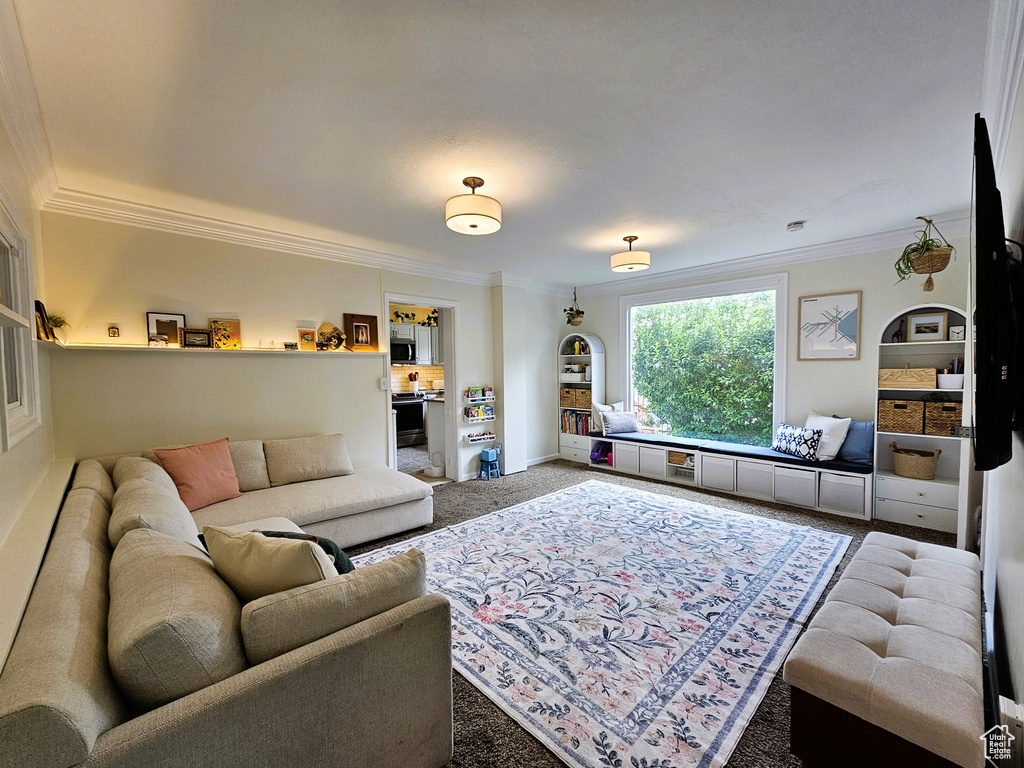 Carpeted living area with ornamental molding and baseboards