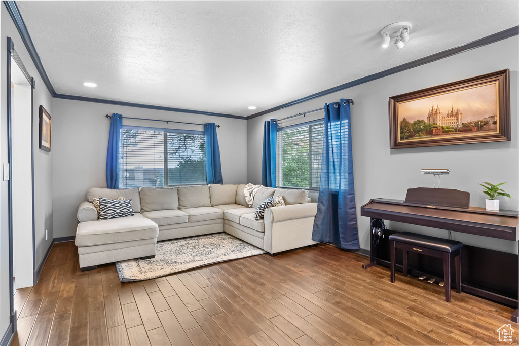 Living area with crown molding, wood finished floors, a textured ceiling, and baseboards