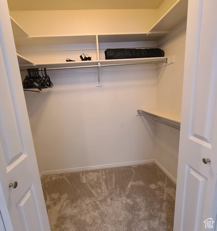 Spacious closet with carpet floors