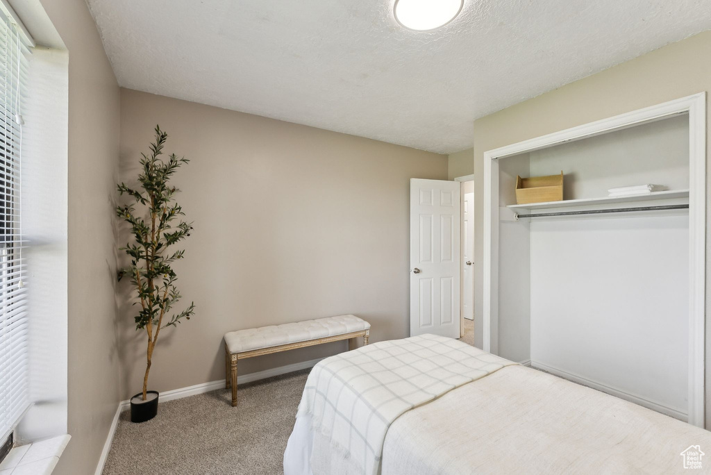 Carpeted bedroom featuring baseboards and a closet