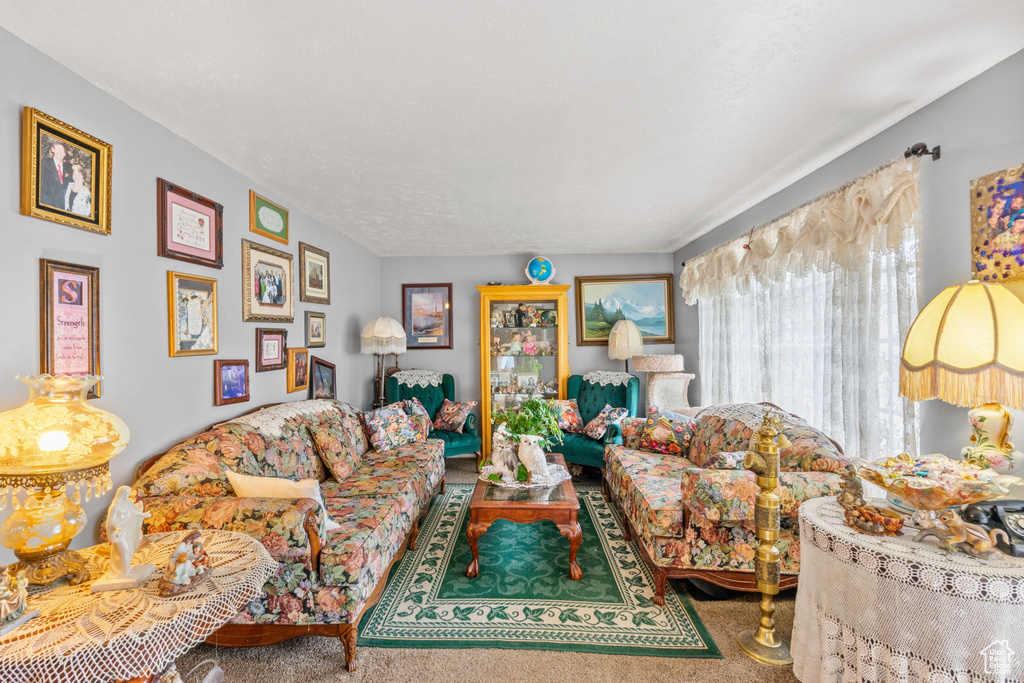 Living room with carpet flooring