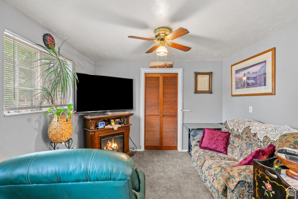 Carpeted living room with ceiling fan, a glass covered fireplace, and baseboards