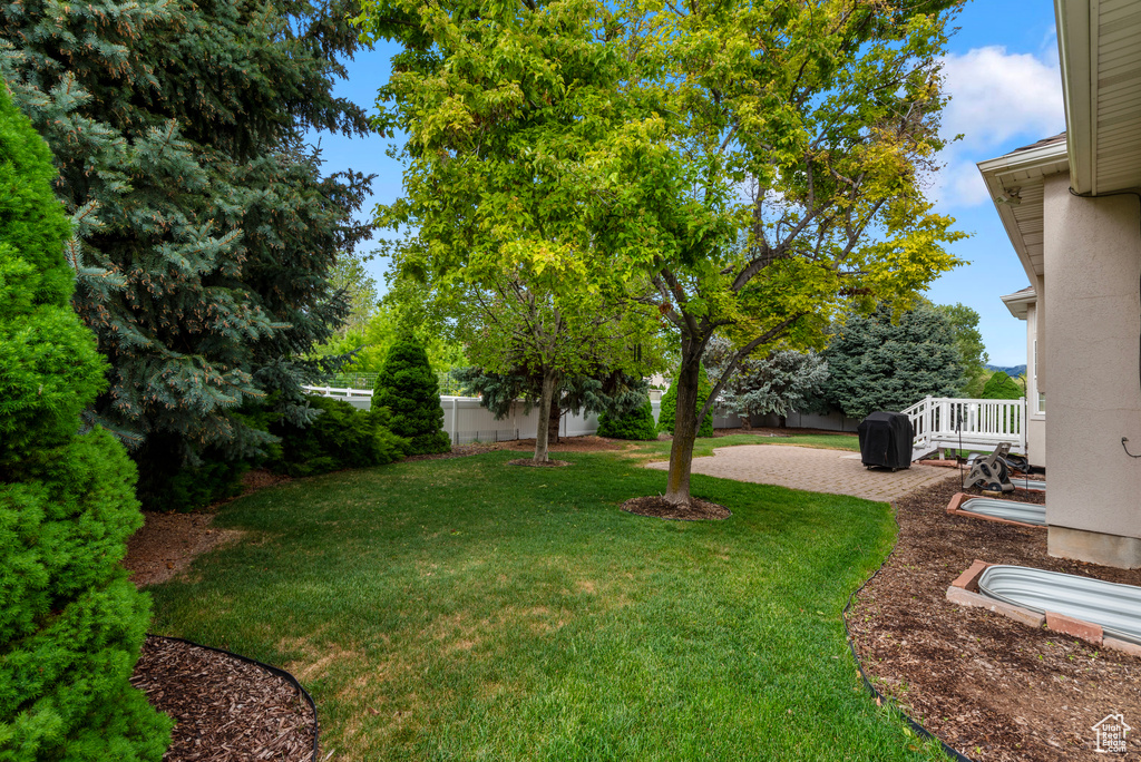 View of yard featuring a patio
