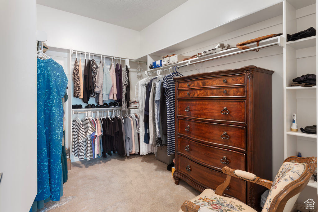 Spacious closet featuring light carpet