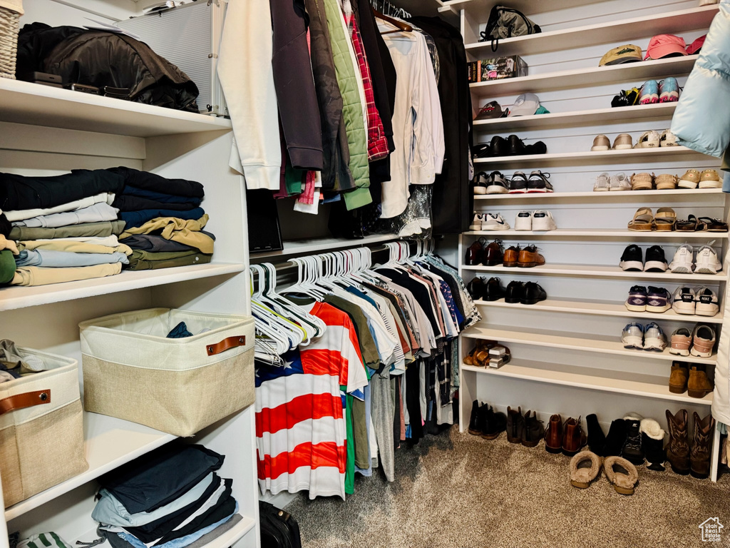 Spacious closet with carpet