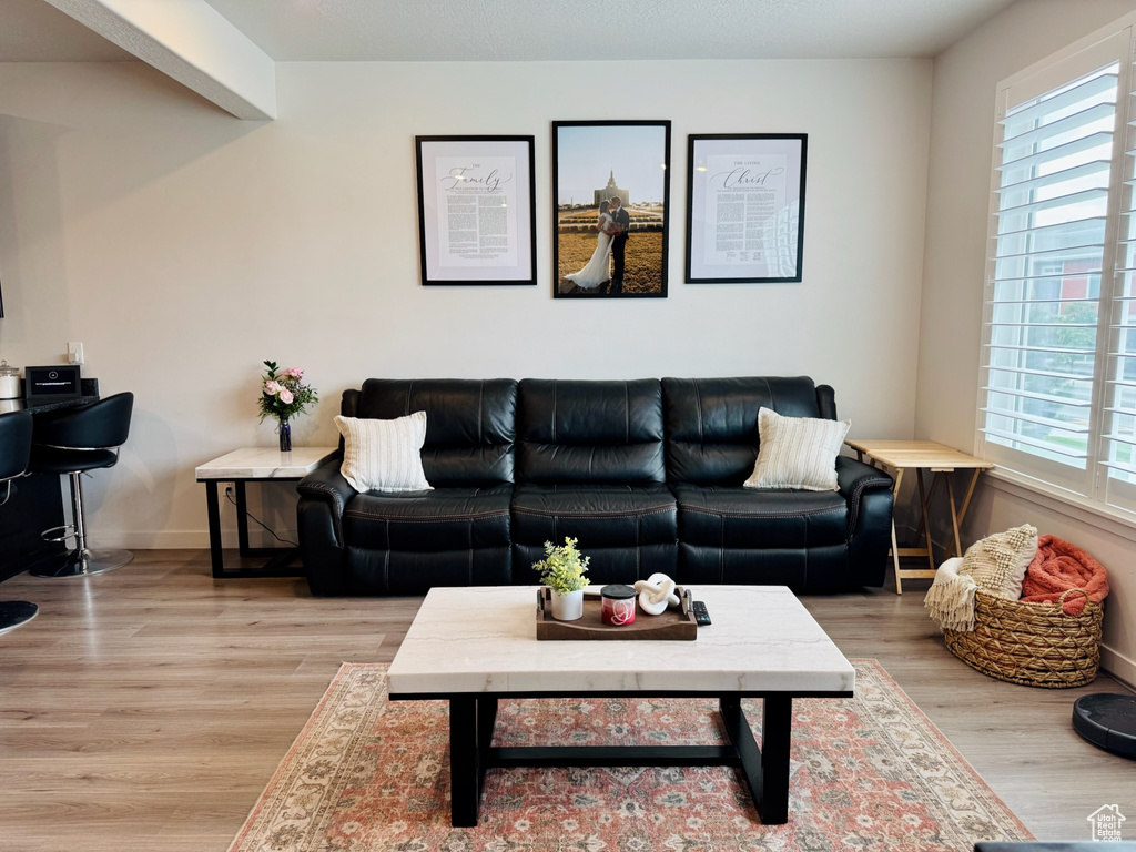 Living area with healthy amount of natural light, wood finished floors, and baseboards