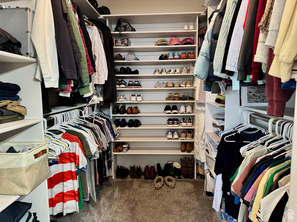 Spacious closet with carpet