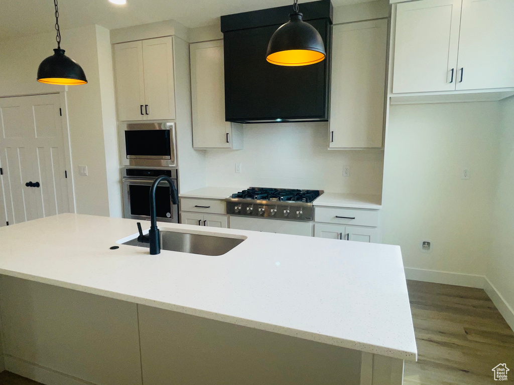 Kitchen with stainless steel appliances, a sink, white cabinets, wood finished floors, and exhaust hood
