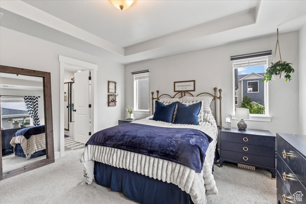 Bedroom featuring carpet floors, multiple windows, and a tray ceiling