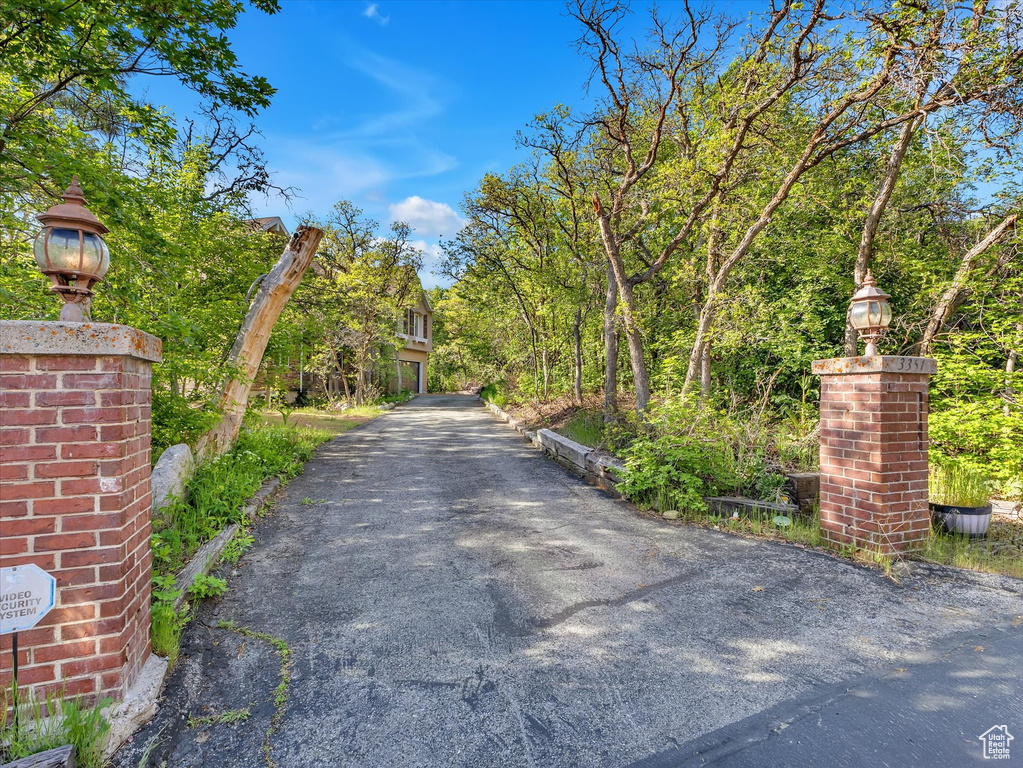 View of asphalt driveway with street lighting