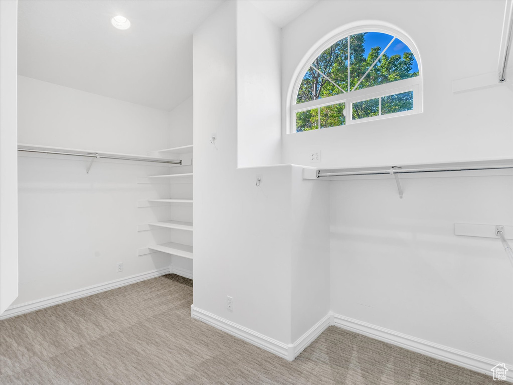 Spacious closet featuring carpet
