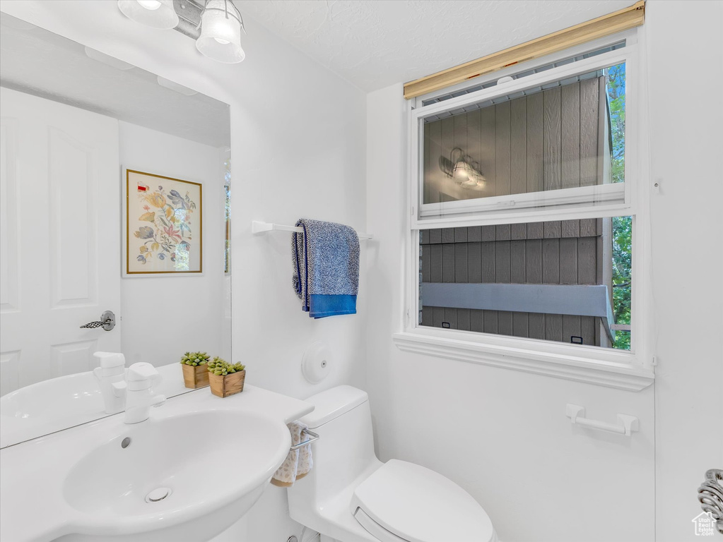 Bathroom featuring toilet and a sink
