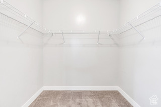 Walk in closet featuring carpet floors