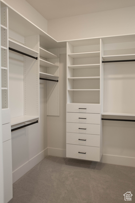 Walk in closet with carpet