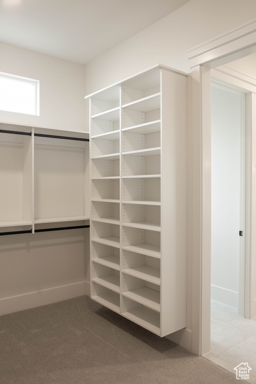 Spacious closet with carpet