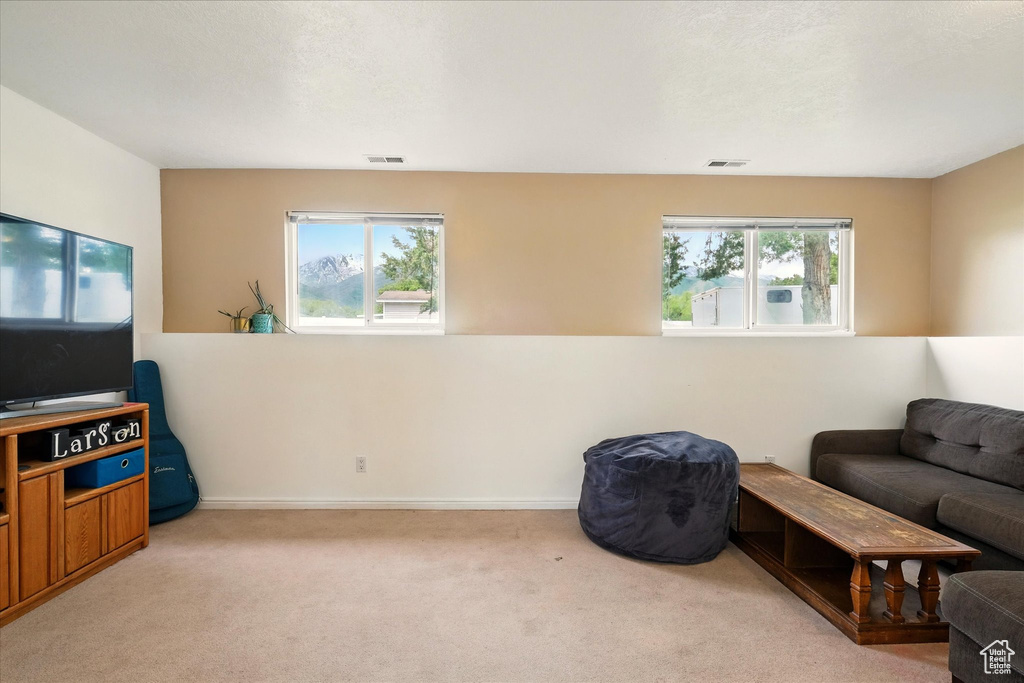 Living area with carpet floors